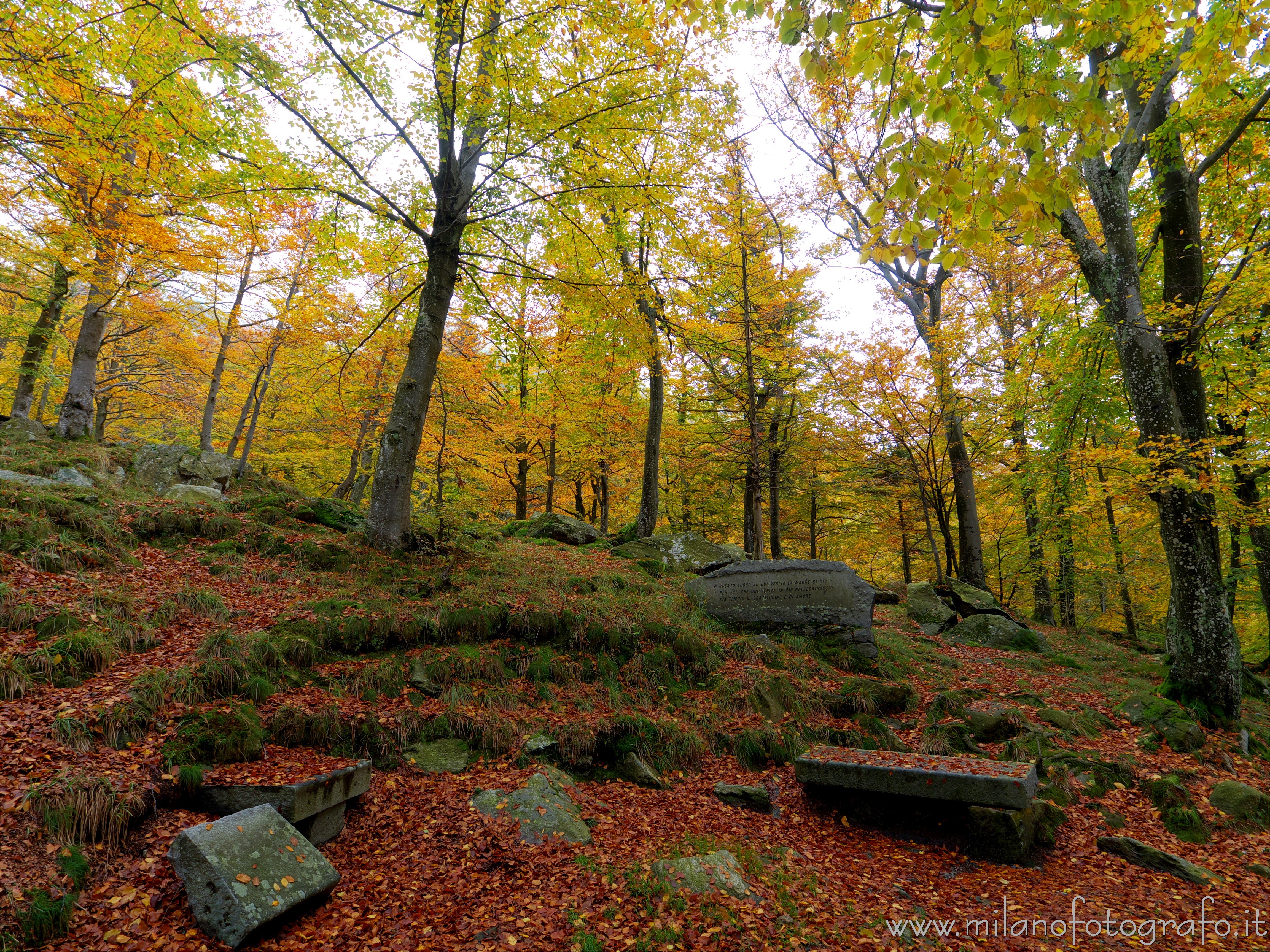 Biella - Pietre coperte di muschio nel bosco autunnale nei boschi intorno al Santuario di Oropa